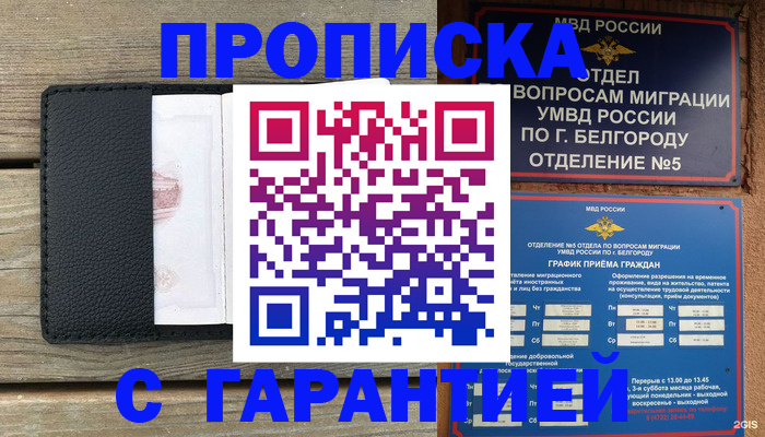 временная регистрация для всех в Кингисеппе